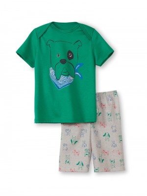 Pyjama Bambino Calida Toddlers Puppy Short Pyjama Verdi | 6254-ILWJO