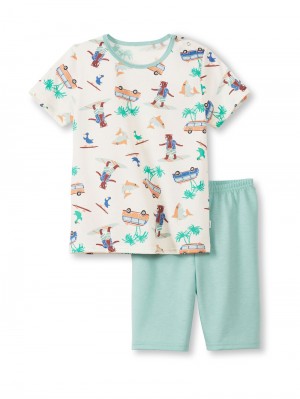 Pyjama Bambino Calida Toddlers Surf Short Pyjama Blu | 3189-FJOSX