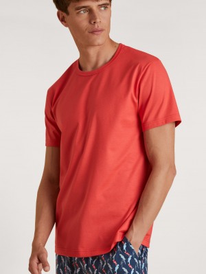 Summer Outfits Uomo Calida Rmx Sleep Time Off T-shirt Rosse | 9247-BTJEK